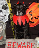The Devil Dog Homemade Costume