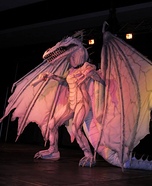 The Dragon from Harry Potter Homemade Costume