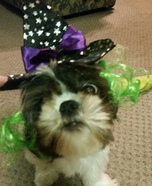 The Good Witch Dog Homemade Costume