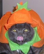 The Great Pumpkin Cat Costume