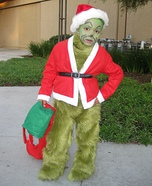 Homemade Grinch Costume