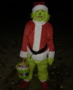 The Grinch Homemade Costume