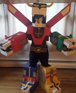The Legend of Voltron Costume