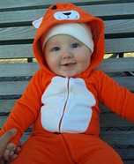 The Little Tiger Costume