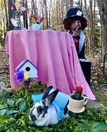 The Mad Hatter and The White Rabbit Pets Homemade Costume