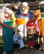 The Muppets Homemade Costume