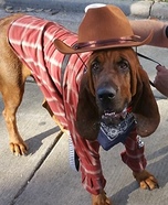 The Outlaw Dog Homemade Costume