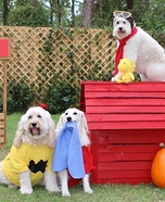 The Peanuts Crew Homemade Costume