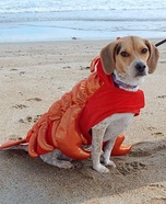 The Rox Lobster Costume