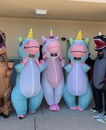 The Unicorns and the Dinos Costume