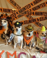 The Village People Dogs Homemade Costume