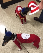Thing 1 and Thing 2 Dog Costumes