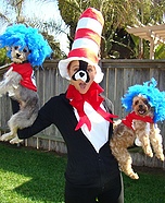 Cat in The Hat Costume