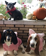 Three Little Pigs and The Big Bad Wolf Dogs Homemade Costume
