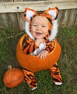 Tiger Baby Costume