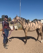 Tiger King and Tiger Homemade Costume