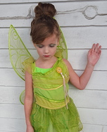 Tinkerbell Costume