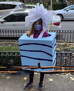 Tissue Box Homemade Costume
