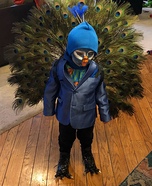 Toddler Peacock Homemade Costume