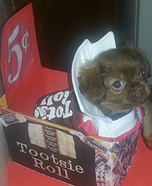 Tootsie Roll Dog Homemade Costume