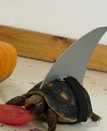 Tort-nado Homemade Costume