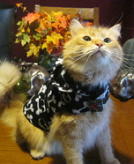 Trick or Treat Kitty Costume