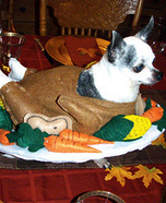 Cooked Turkey Dog Homemade Costume