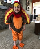 Turkey Bird Costume