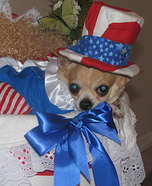 Uncle Sam Dog Homemade Costume