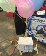 Up Dog Homemade Costume