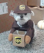 UPS Driver Dog Homemade Costume