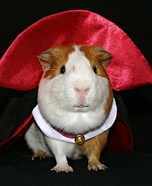 Vampire Pig Homemade Costume