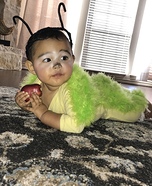 Very Hungry Caterpillar Baby Homemade Costume