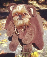 Homemade Ewok Costume for Dogs