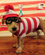 Where's Waldo Dog Costume