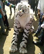 White Lion Homemade Costume