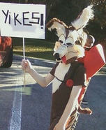 Wile E. Coyote Homemade Costume