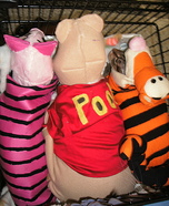 Winnie the Pooh Characters Cats Homemade Costume