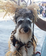 Witch Doctor Dog Homemade Costume