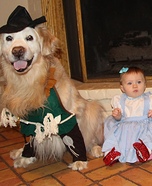 Wizard of Oz Homemade Costume