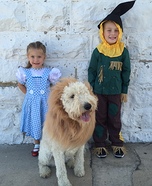 Wizard of Oz Costume