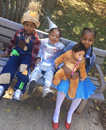 Wizard of Oz Homemade Costume