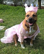 Wizard of Oz Glinda Dog Costume