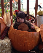 Wizard of Oz Winged Monkey Costume