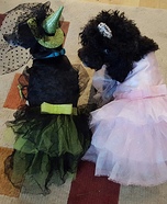 Wizard of Oz Witches Dogs Homemade Costume