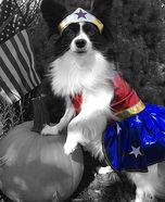 Wonder Woman Dog's Costume