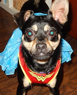 Wonder Woman Costume for Dogs