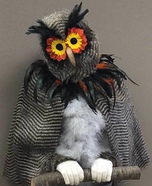 Halloween Bird Costume · How To Make An Animal Costume · Other on Cut Out +  Keep