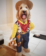 Woody the Cowboy Homemade Costume