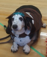 World War 1 Flying Ace Dog's Homemade Costume